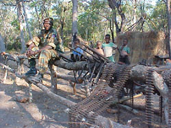 Government soldiers and guns